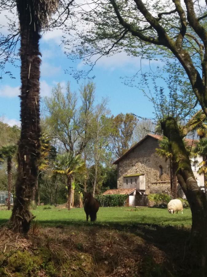 La Chapelle Du Chateau Gite Pouillon Экстерьер фото